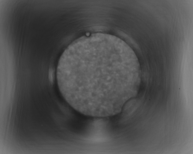 X0000100500070200807111151