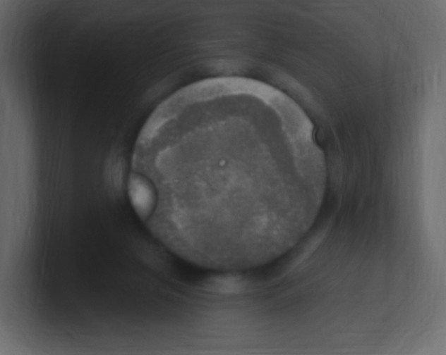 X0000100500071200807111151