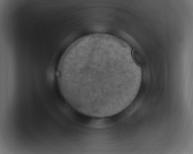 X0000100500072200807111151