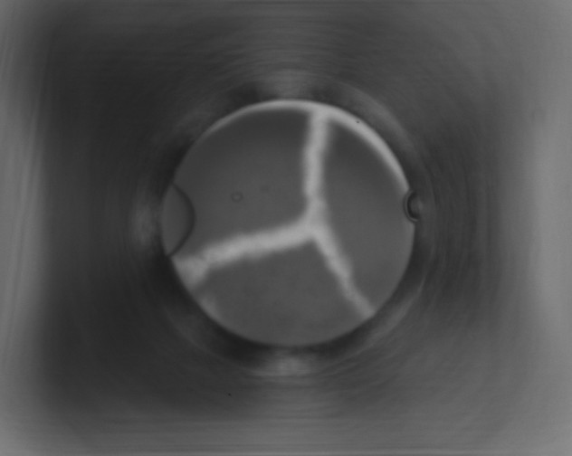 X0000100500073200807111151