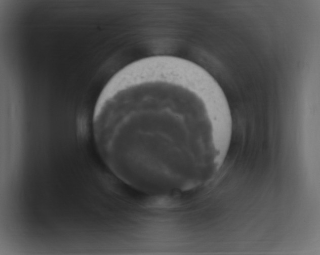 X0000100500074200807111151