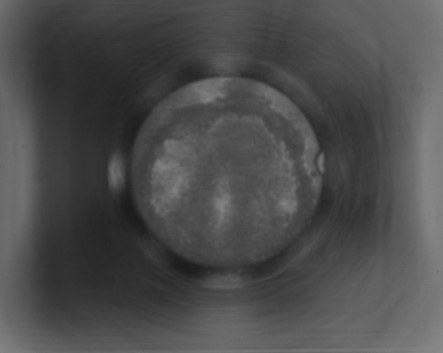 X0000100500075200807111151