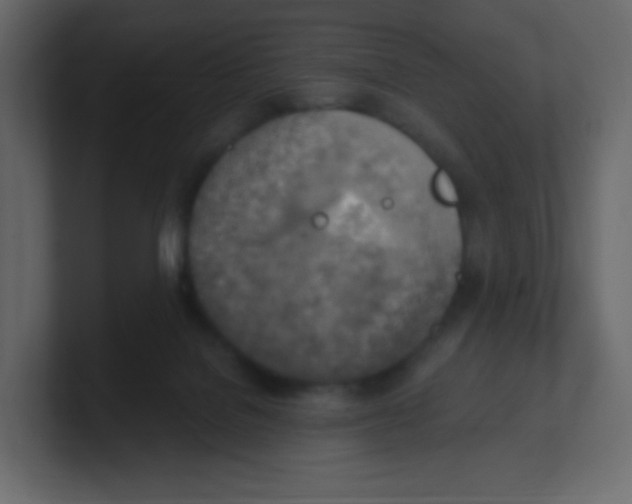 X0000100500076200807111151