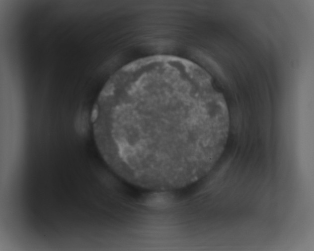 X0000100500077200807111151