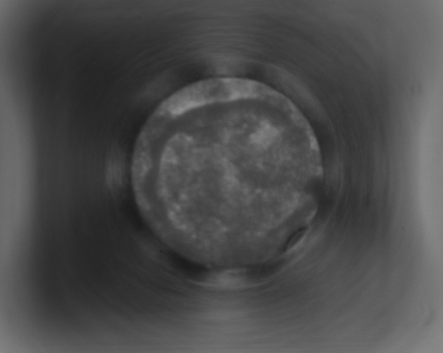 X0000100500078200807111151