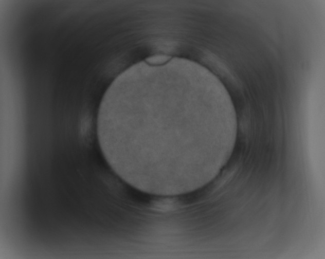 X0000100500079200807111151