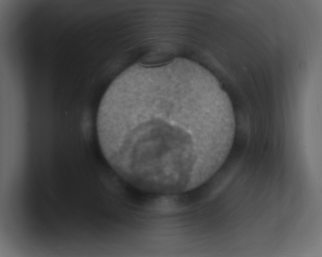 X0000100500080200807111151