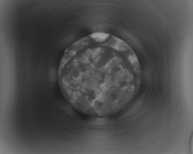 X0000100500081200807111152