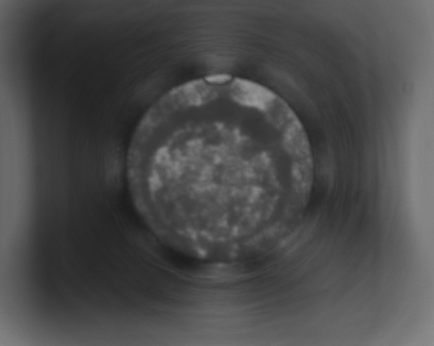 X0000100500082200807111152