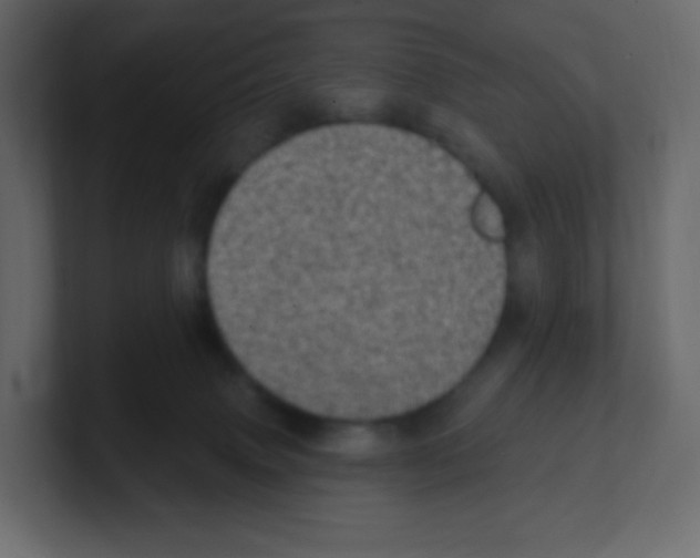 X0000100500083200807111152