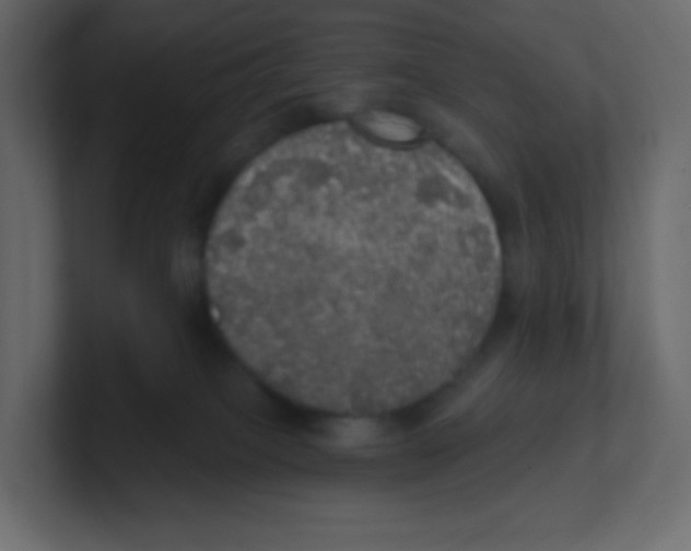 X0000100500085200807111152