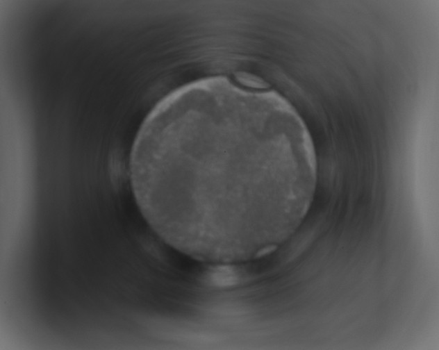 X0000100500091200807111152