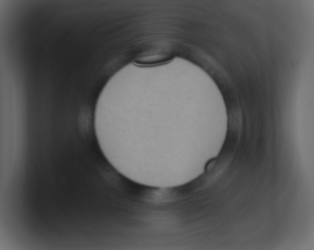 X0000100500092200807111152