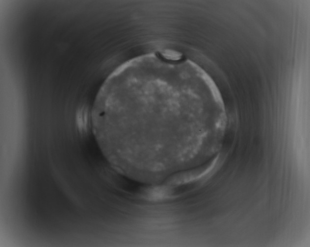 X0000100500094200807111152