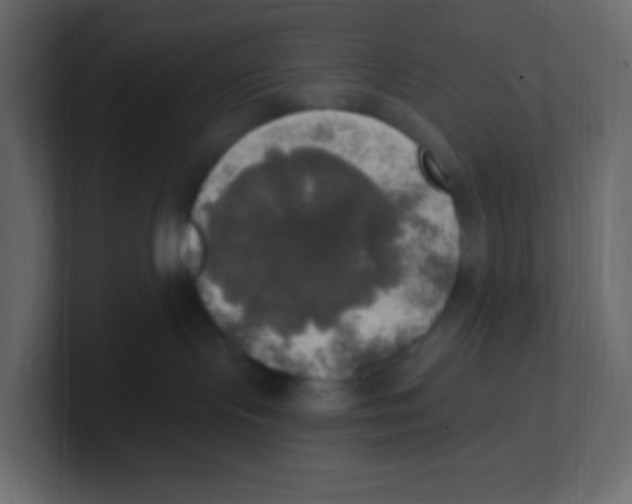 X0000100500095200807111152