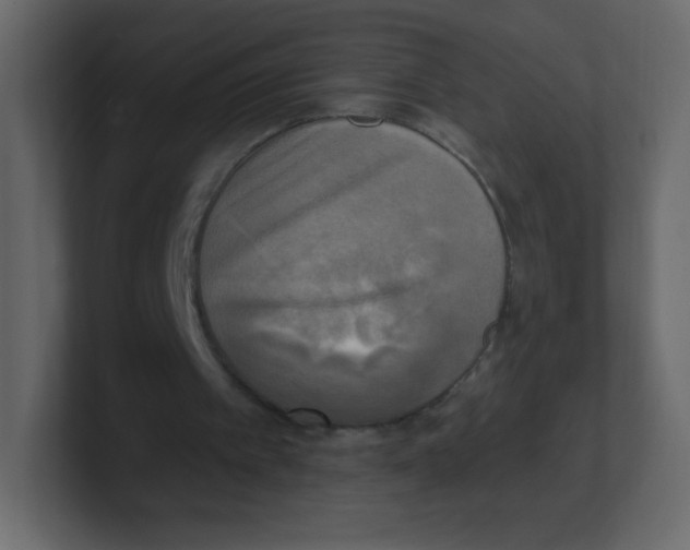 X0000100500097200807111151