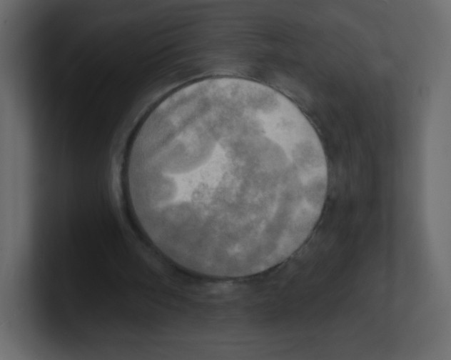 X0000100500098200807111151