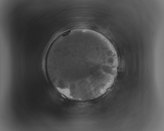 X0000100500099200807111151