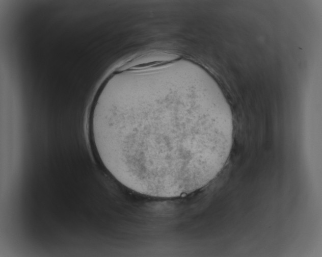 X0000100500100200807111151