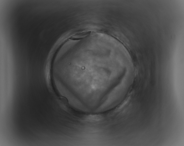 X0000100500101200807111151