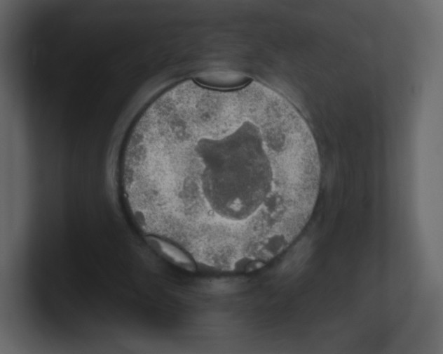 X0000100500103200807111151