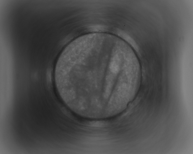 X0000100500105200807111151