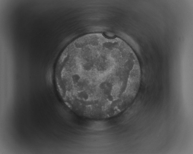 X0000100500107200807111151