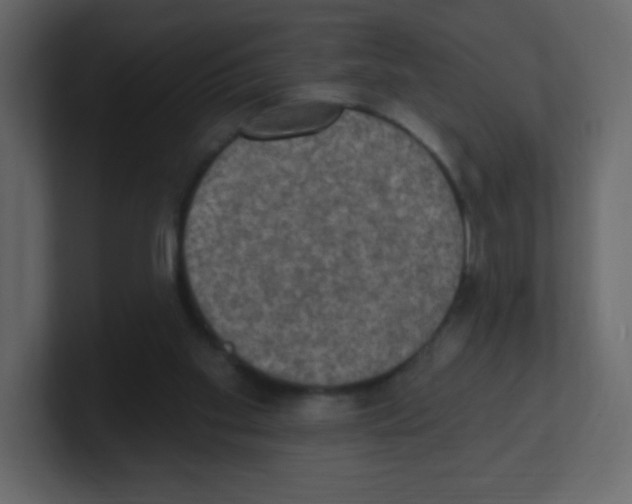 X0000100500109200807111151