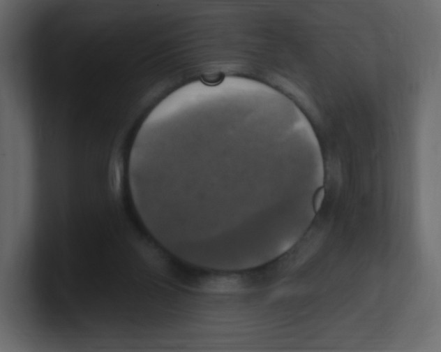 X0000100500110200807111151