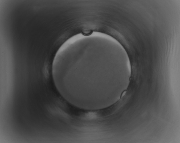 X0000100500114200807111151