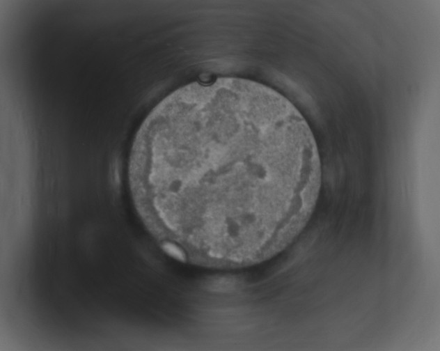 X0000100500115200807111151