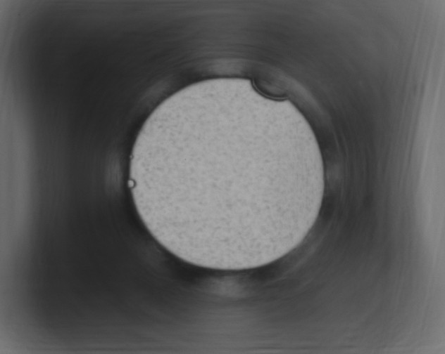 X0000100500120200807111151