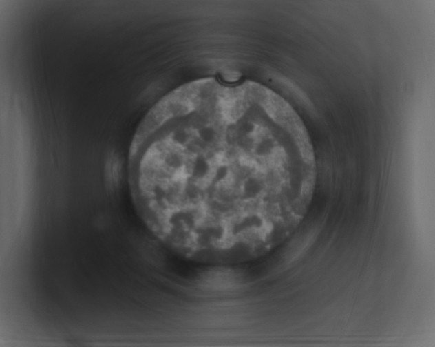 X0000100500123200807111151