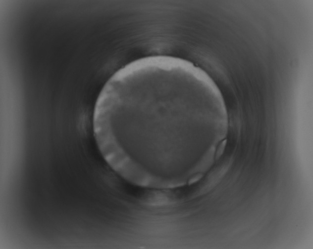 X0000100500127200807111151