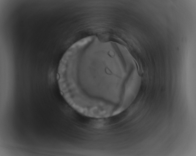 X0000100500131200807111151