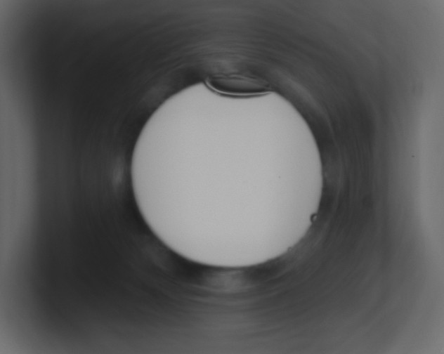 X0000100500132200807111151