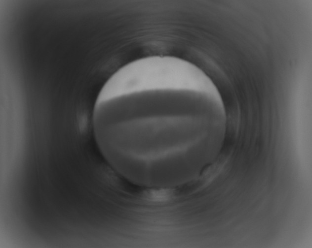 X0000100500134200807111151