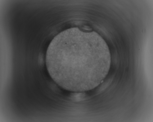 X0000100500135200807111151