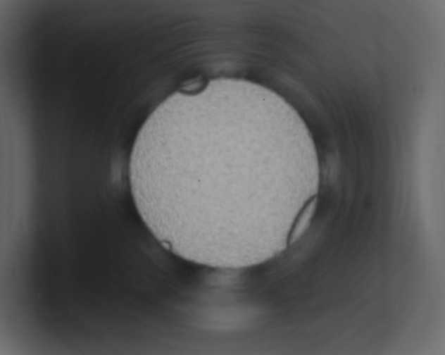 X0000100500138200807111151