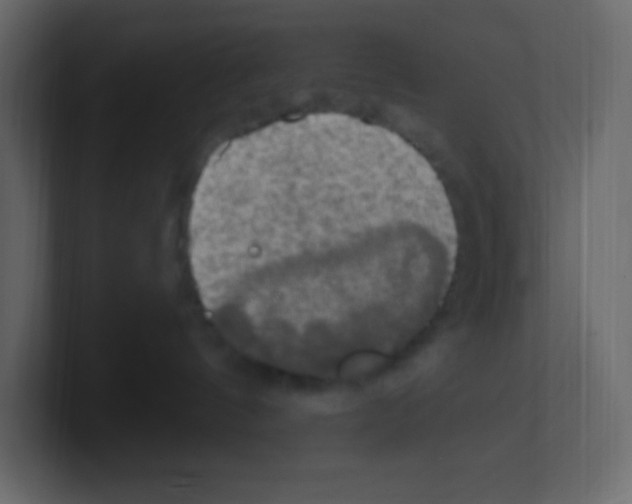 X0000100500144200807111150