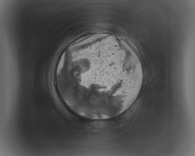 X0000100500145200807111150