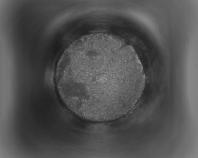 X0000100500146200807111150