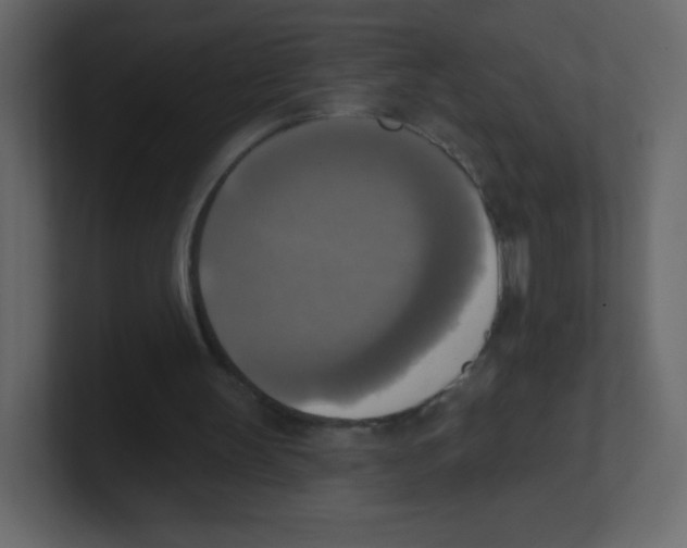 X0000100500147200807111150