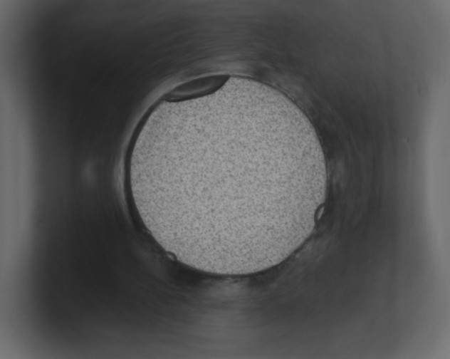 X0000100500148200807111150