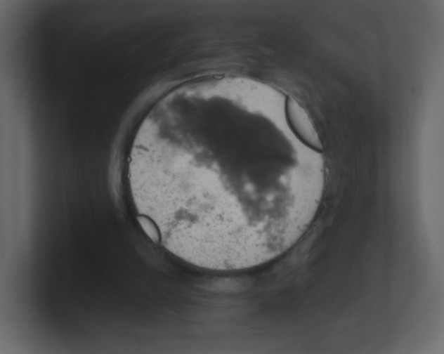 X0000100500149200807111150