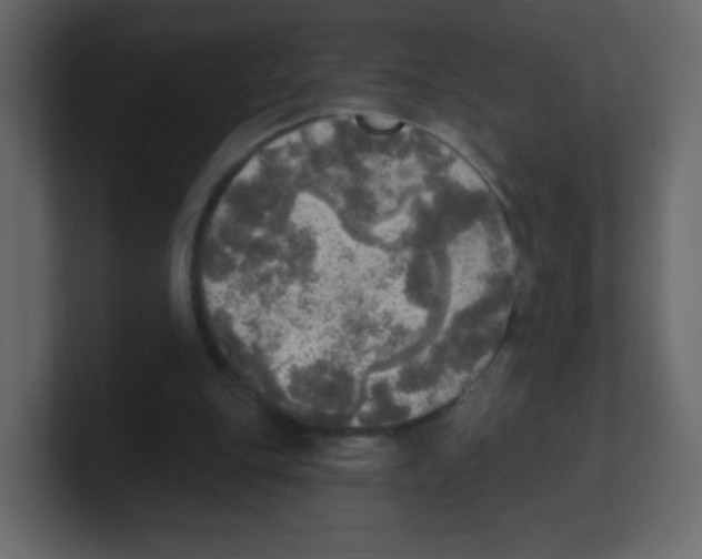 X0000100500151200807111150