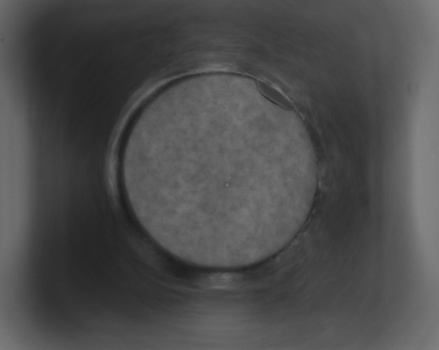 X0000100500152200807111150