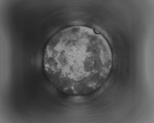 X0000100500153200807111150