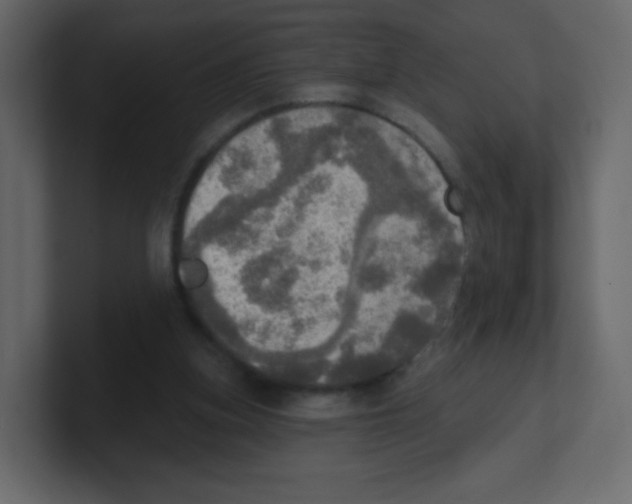 X0000100500155200807111150