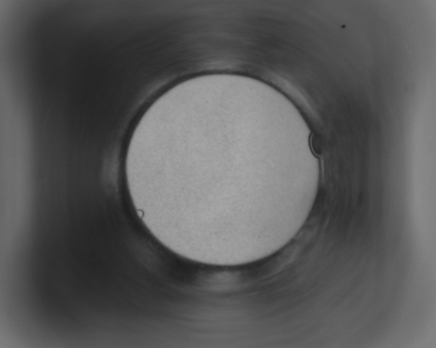 X0000100500156200807111150